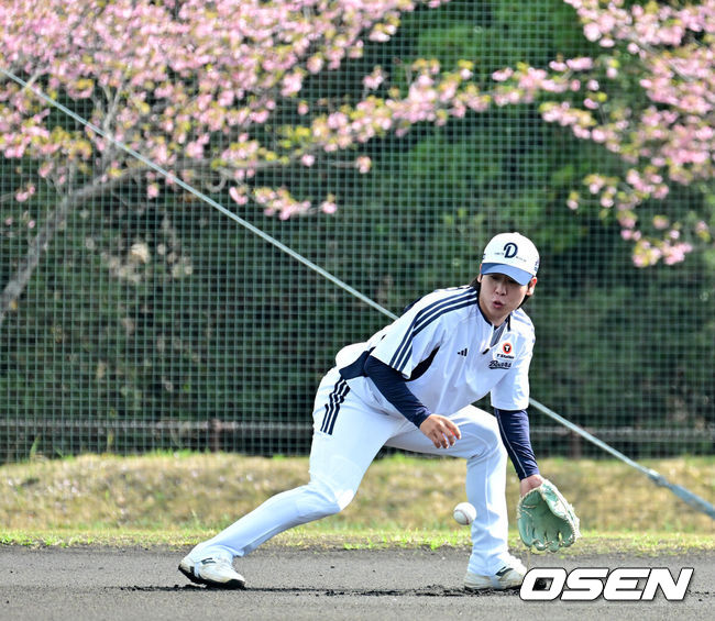 [OSEN=미야자키(일본), 지형준 기자] 두산 베어스가 25일 일본 미야자키 산마린 스타디움에서 일본프로야구 세이부 라이온스와의 구춘대회 첫 경기를 가졌다.호주 시드니 블랙타운 야구장에서 체력 및 전술 훈련 위주의1차 캠프를 마친 두산은 미야자키에서 '구춘대회'포함7차례 연습경기를 치른다.두산 박찬호가 수비 훈련을 하고 있다. 2026.02.25 /jpnews@osen.co.kr