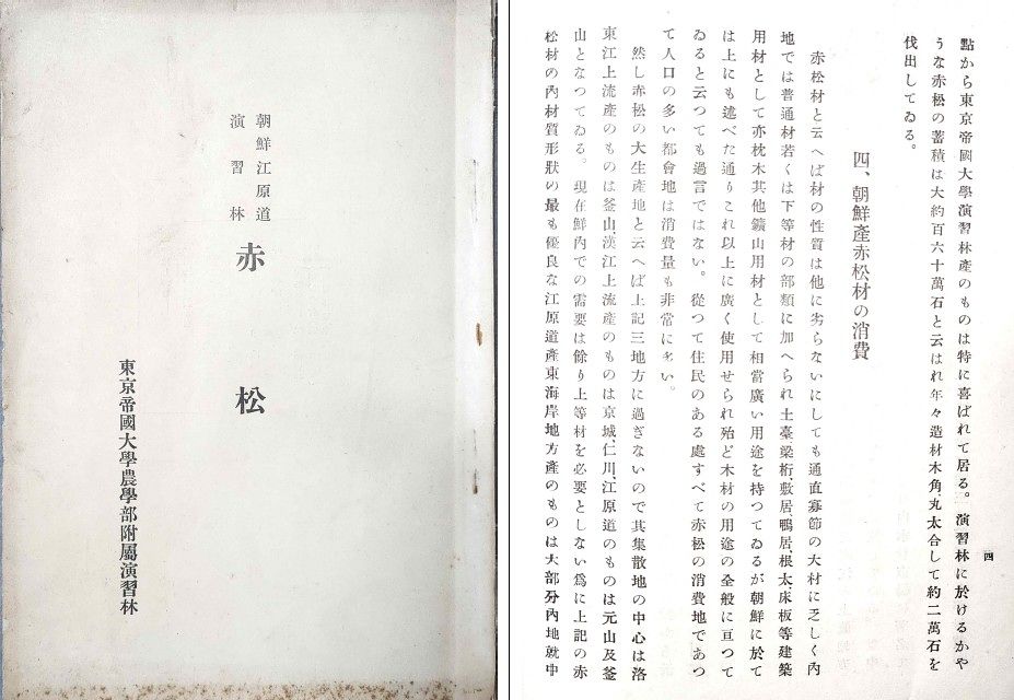 적송 도쿄제국대학교 조선강원도 연습림 보고서 표지와 내용. [녹색연합]