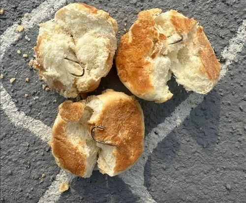 지난 14일 오전 전남 나주시 금천면 나주반려견놀이터에서 발견된 낚싯바늘이 박힌 빵. 사진 소셜미디어 캡처