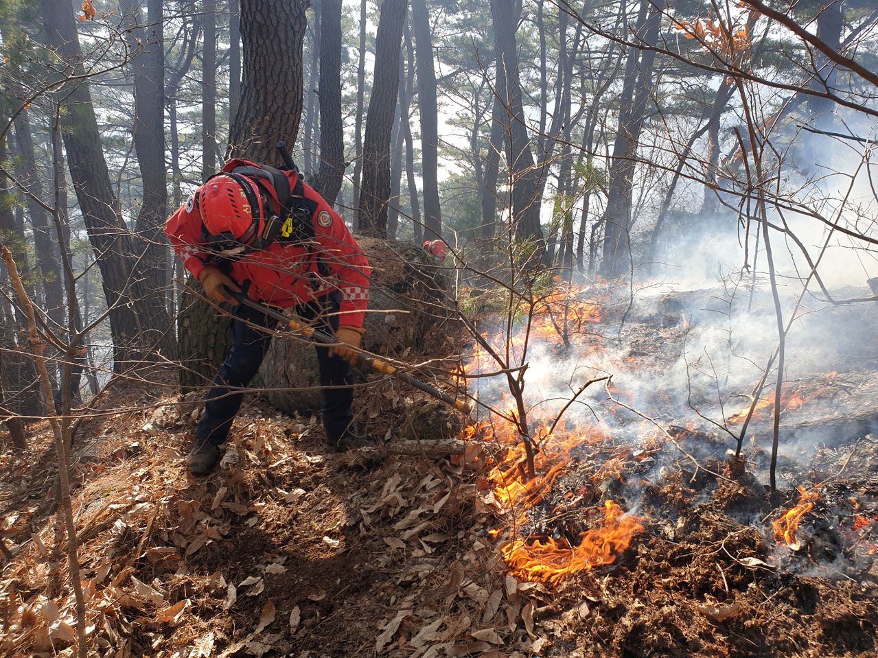 경남 함양 산불 사흘째인 지난 23일 함양군 마천면 산불 현장에서 산림청 산불재난특수진화대원들이 방화선을 구축하며 진화 작업을 벌이고 있다. 사진 뉴스1