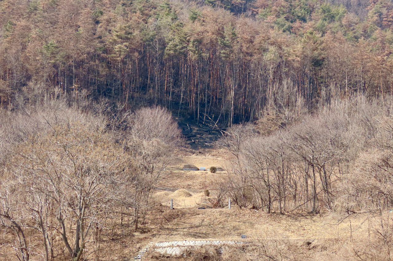 지난 2월 7일 경북 경주시 문무대왕면 입천리 '뒷산'에 난 불은 민가 30m 앞까지 덮쳤다. 주민 최홍식(62)씨는 ″아버지 묘소 10m 앞까지 산불이 내려왔는데, 불길을 필사적으로 막아준 진화대원과 소방당국에 감사하다″고 말했다. 최씨의 아버지 묘소 바로 위까지 검게 그을려 있다. 김홍준 기자