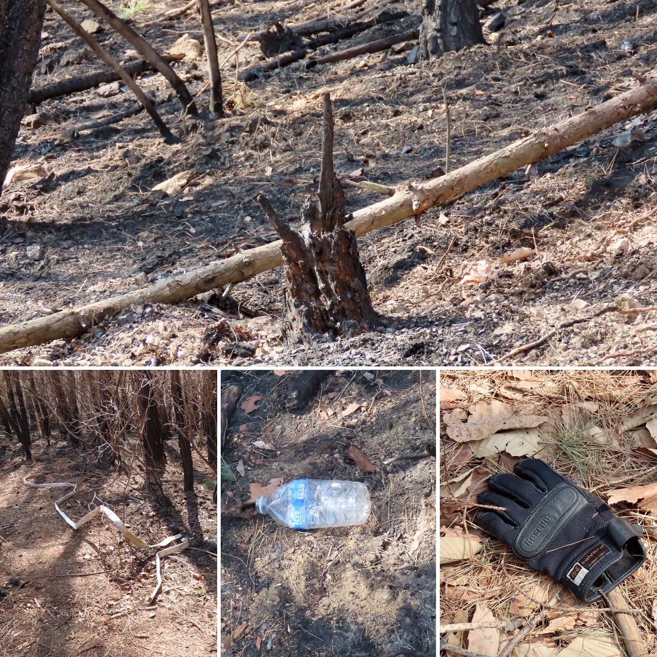 지난 2월 7일 발생한 경북 경주시 문무대왕면 입천리 산불 현장을 진화 10여 일 만에 찾았다. 산불이 낸 열에 절단된 소방호스와 진화대원이 남기고 간 구조 전문용 장갑 등이 당시의 긴박함을 보여주고 있었다. 김홍준 기자