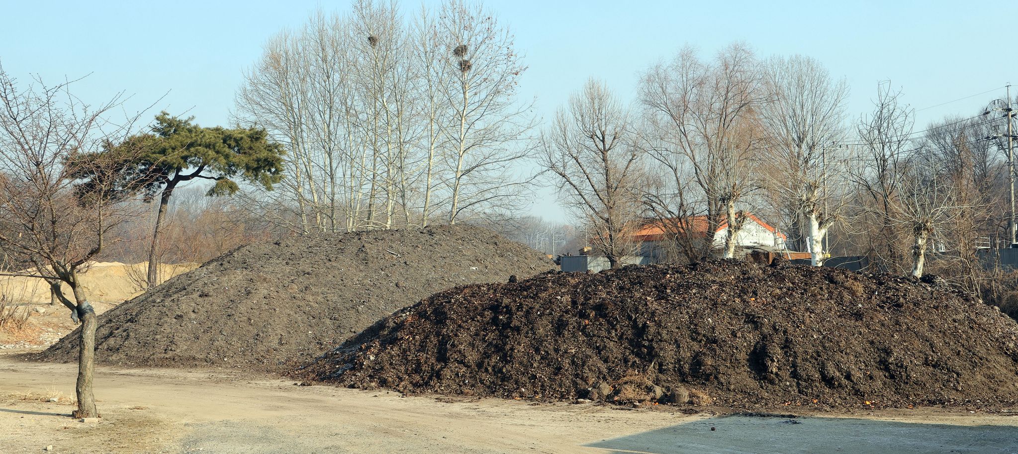 덕은양묘장 한켠에 쌓여있는 부엽토. 앞에 검은색이 2년, 뒤에 쌓여있는 것이 3년 묵힌 부엽토다.
