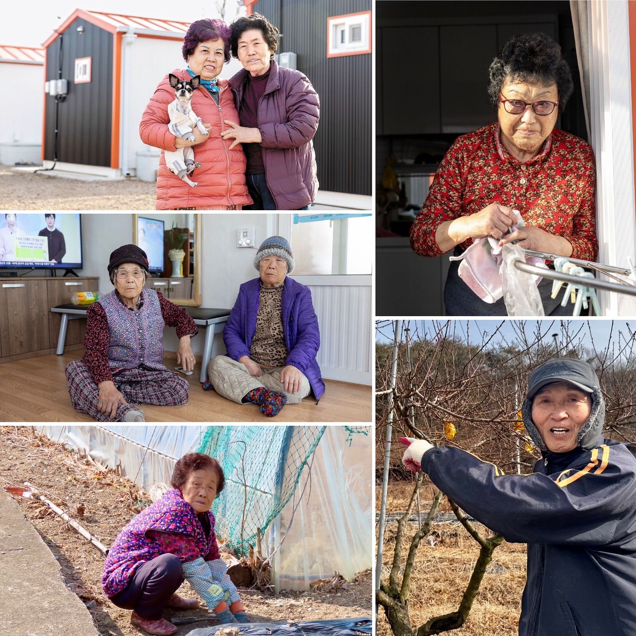 산불을 겪은 사람들. 경북 영덕군의 이명순(72)·정춘자(81·맨 위 좌측)씨와 구춘옥(81·맨 위 오른쪽)씨처럼 화마에 집이 사라져 10평 컨테이너 생활을 하거나, 경북 의성군의 도정숙(99)·이춘자(85·좌측 가운데)나 김재봉(80·우측 아래)씨, 경북 경주시 문무대왕면의 이분례(81·우측 아래)씨처럼 가까스로 집을 지키기도 했다. 김홍준·김정훈 기자