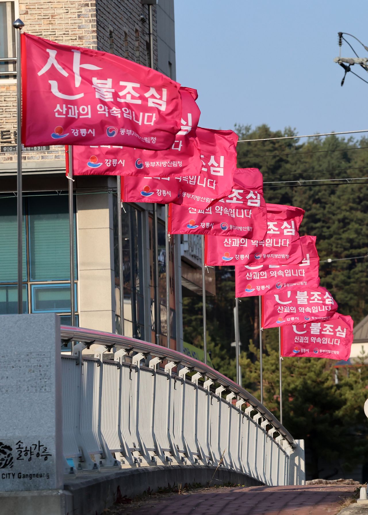 강릉시 경포동에서 산불조심 깃발이 펄럭이고 있다. [연합뉴스]