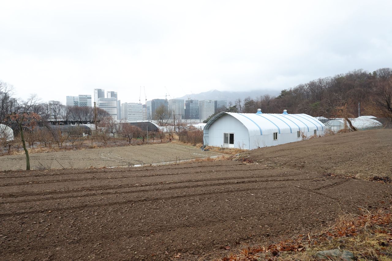 2일 수도권 내 한 농지 너머로 아파트 단지 등 재개발 구역이 들어서 있다. 연합뉴스