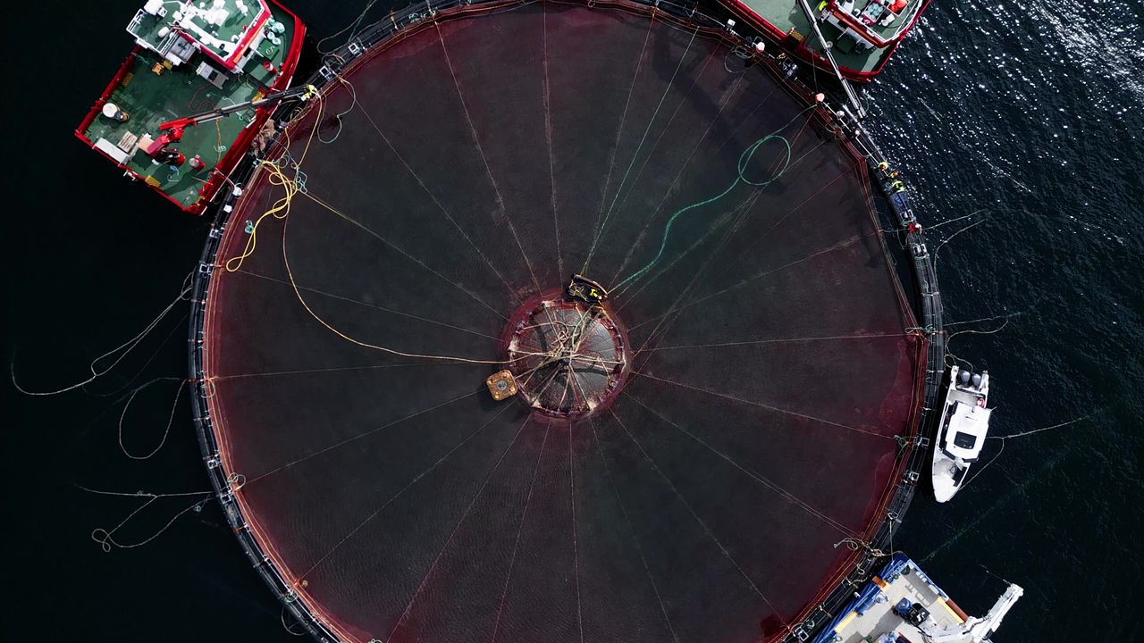 노르웨이의 한 수중 연어 양식장에서 가두리 그물을 수면으로 끌어올리고 있다. 사진 르로이