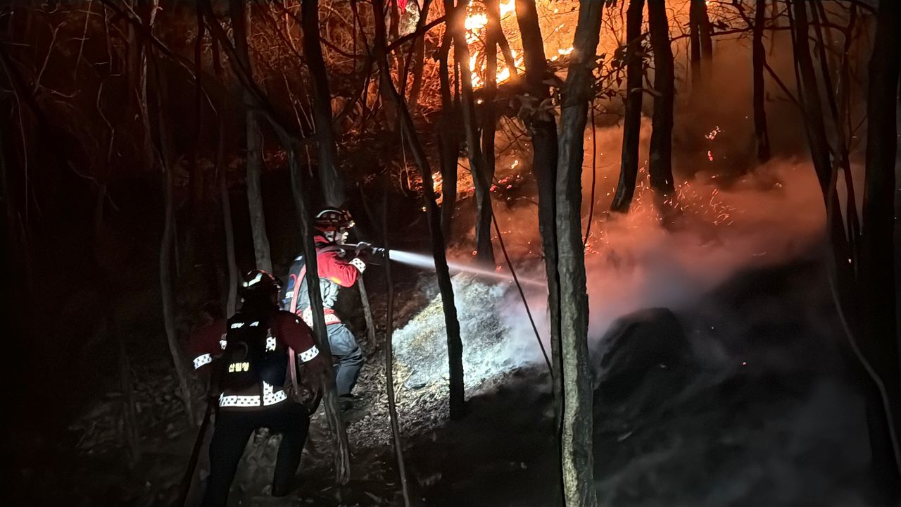 지난 24일 오전 경남 밀양 산불현장에서 산림청 산불재난특수진화대원들이 진화작업을 벌이고 있다. 연합뉴스