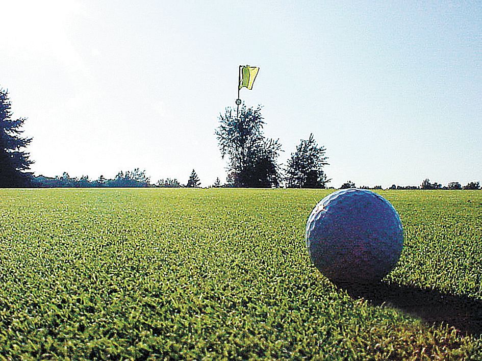 골프장 잔디위의 골프공. 중앙포토