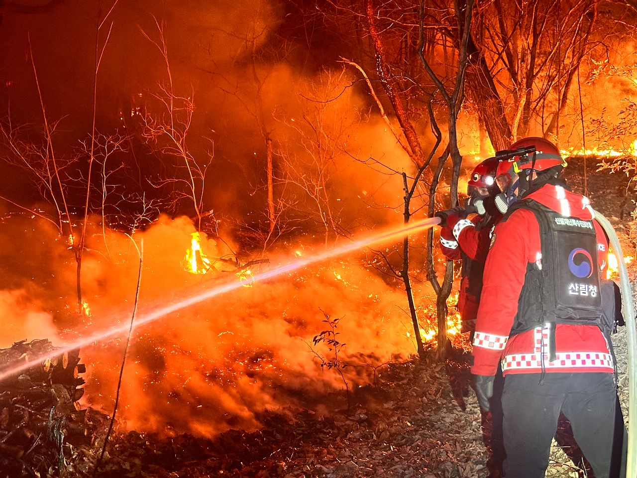 지난달 24일 산림당국이 경남 밀양시 삼랑진읍 검세리에서 전날부터 발생한 산불을 끄기 위해 야간 진화 작업을 하고 있다. 연합뉴스