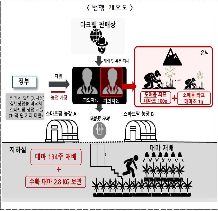 정부지원금으로 지하벙커에서 대마를 재배한 일당 범행 개요도. 사진 마약범죄 정부합동수사본부