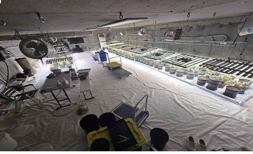 지하벙커에 만든 대마 재배지 현장. 사진 마약범죄 정부합동수사본부