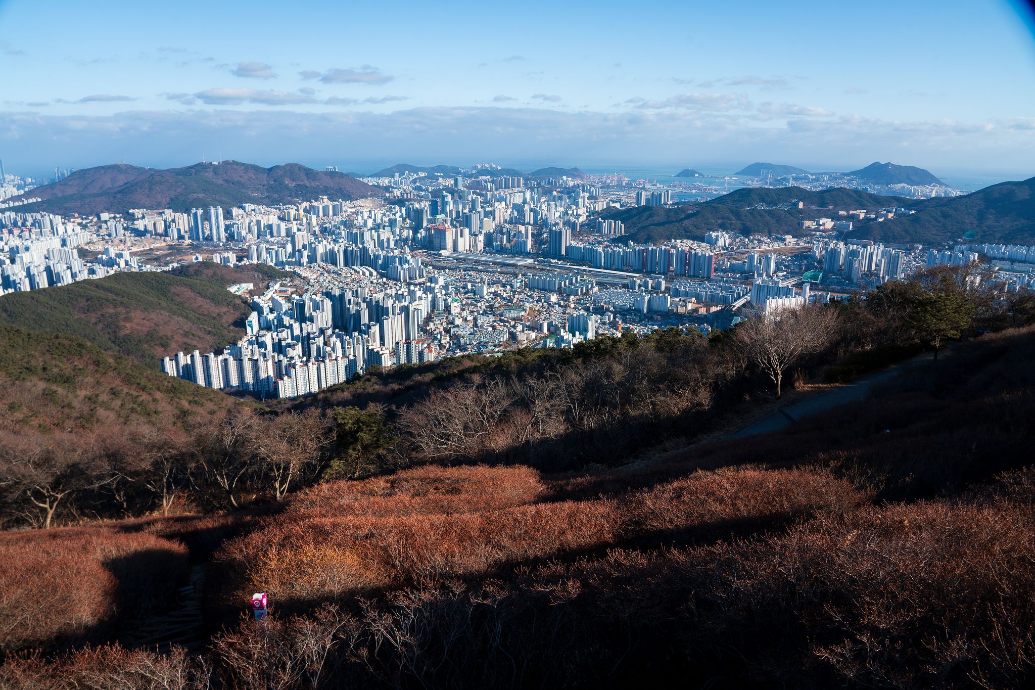 백양산 애진봉에서 본 부산 시내의 모습. 애진봉은 부산 최대의 철쭉 군락지다. 4월 말이면 능선이 온통 붉게 물든다. 백종현 기자