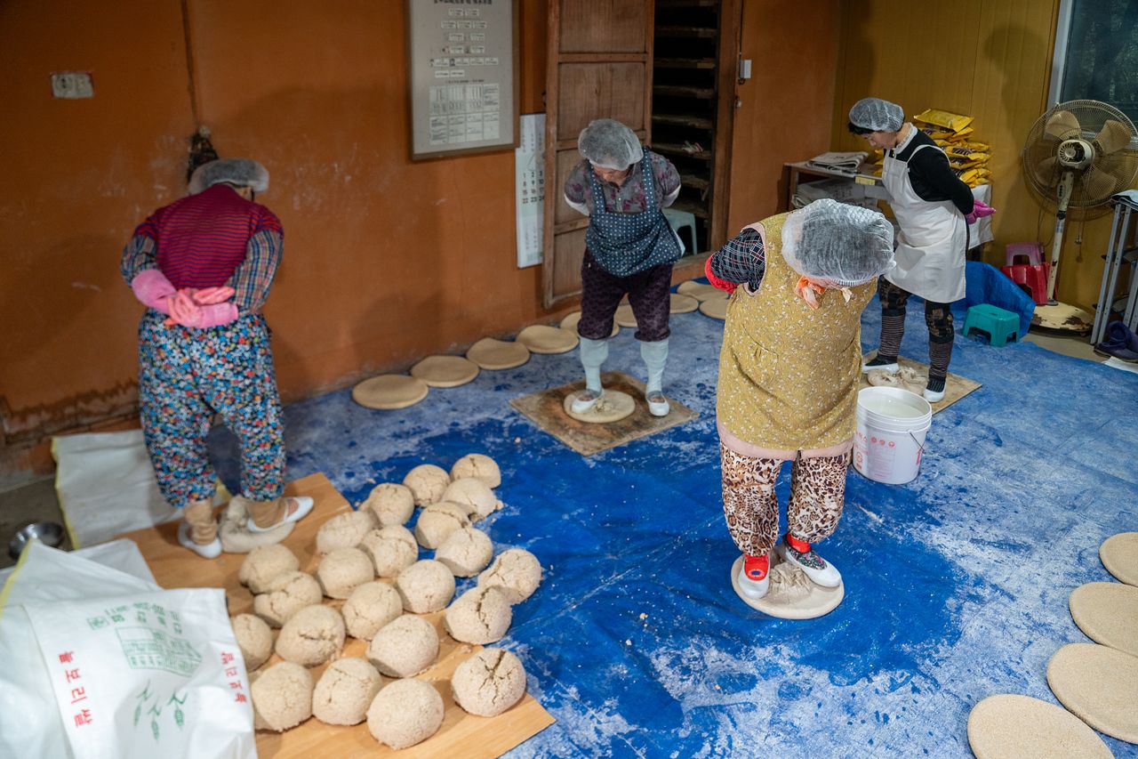 발로 밟아 만든 족압식 누룩으로 금정산성 막걸리를 빚는다. 할머니 한 분이 하루 평균 100장의 누룩을 만든다. 백종현 기자
