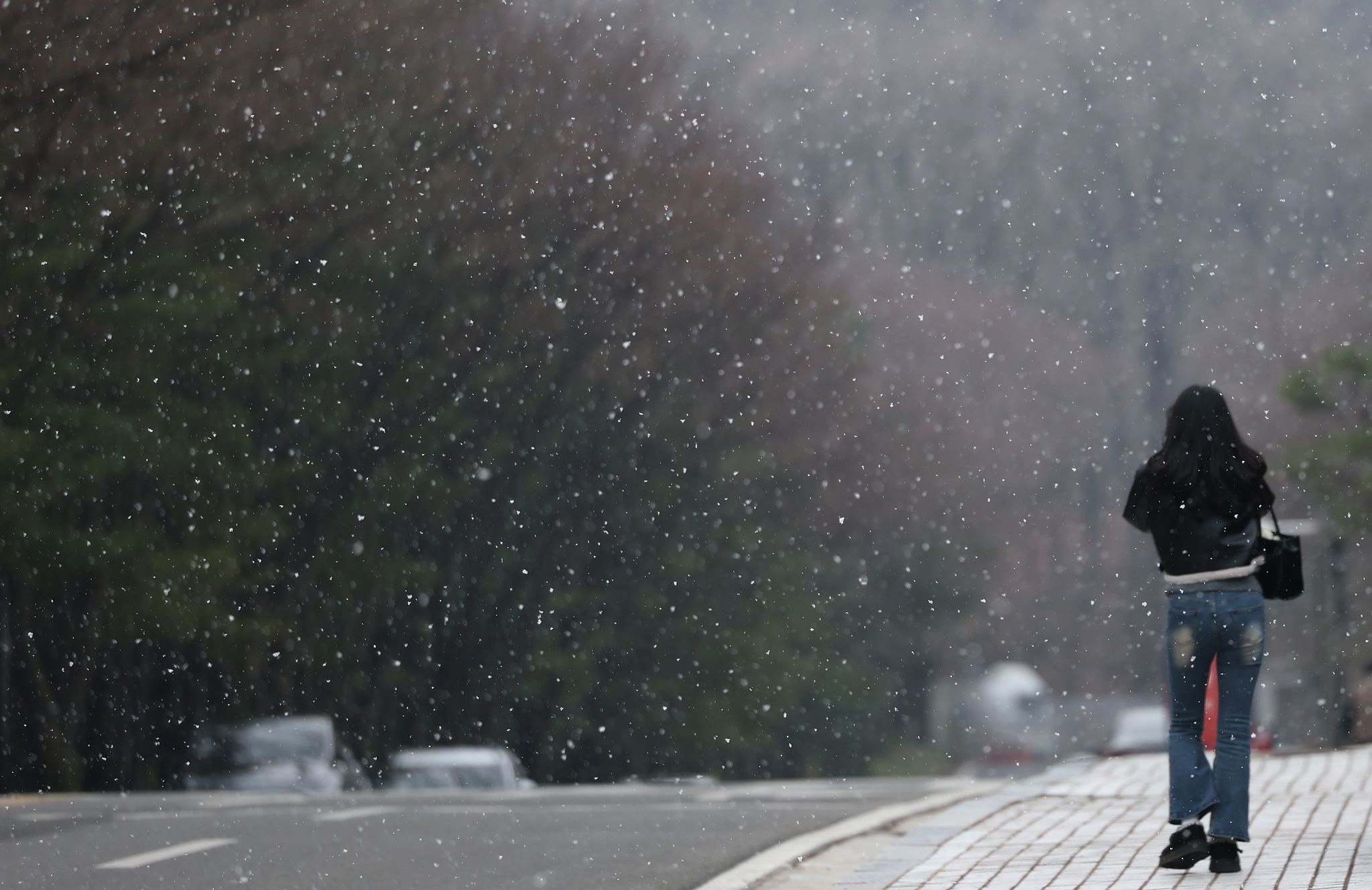 6일 서울 서초구 일대에 눈이 내리고 있다. 연합뉴스