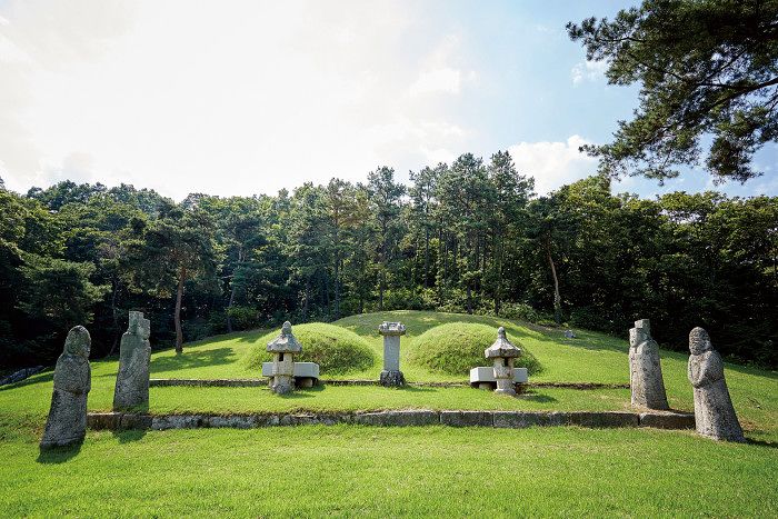 경기도 의정부 구성마을에 있는 신숙주의 묘. [사진 이숙인]