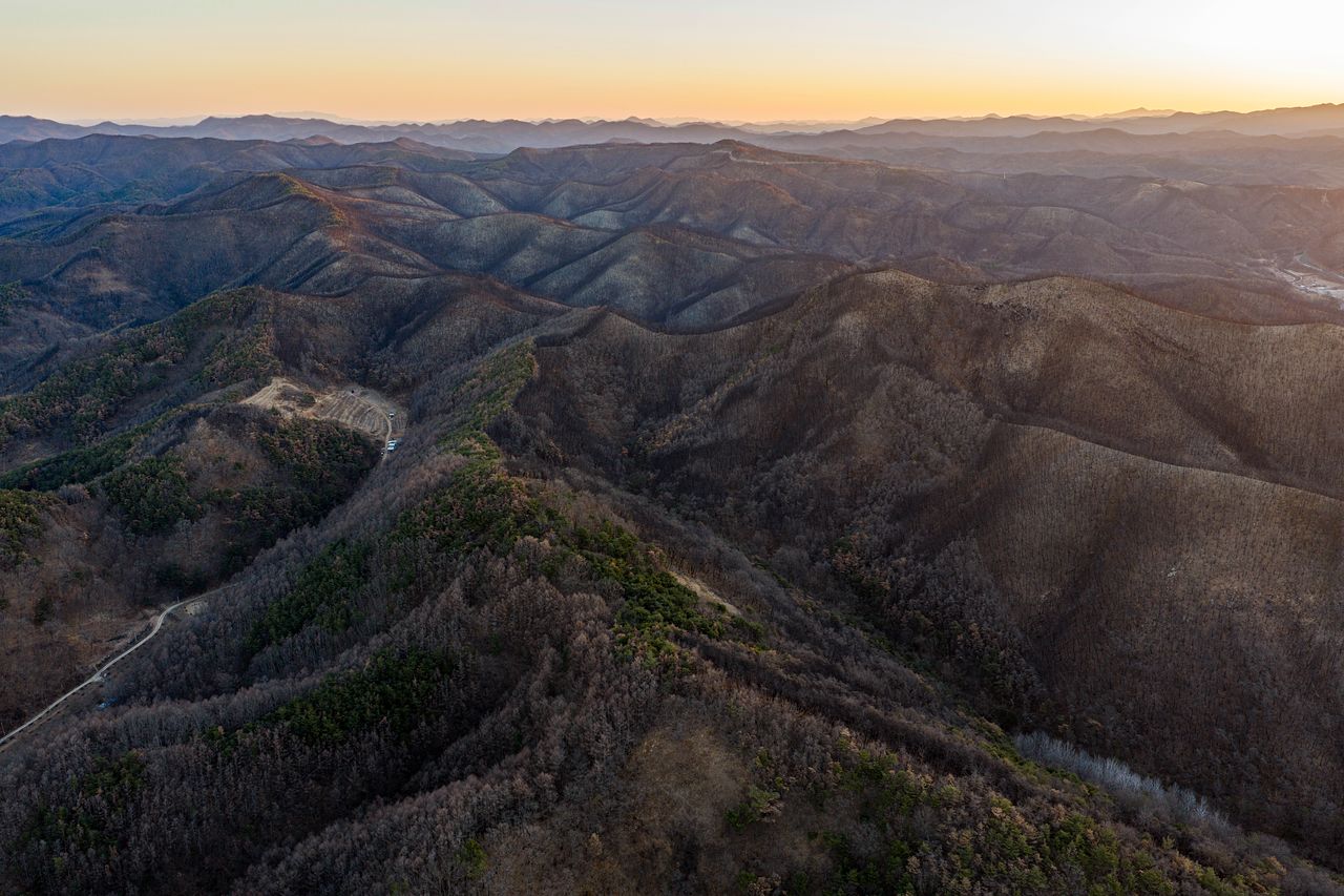 경북 산불 발생 1년 후 의성군 일대 모습. 김정훈 기자.