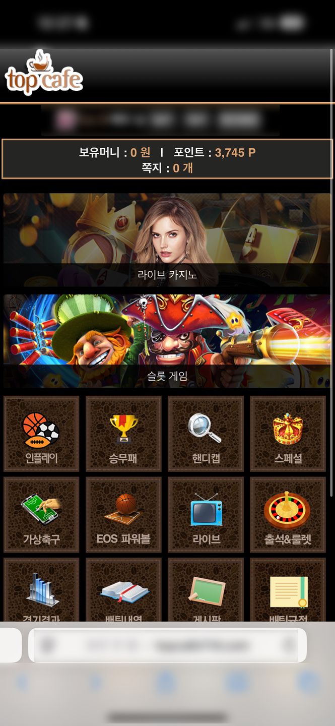 전국 총판을 통해 회원을 끌어모으고, 동네 성인 PC방까지 파고들어 수백억원대 불법 도박사이트를 운영한 일당이 경찰에 붙잡혔다. 울산경찰청 형사기동대는 9일 슬롯·바카라를 하는 '탑카페' 등 불법 도박 사이트를 운영한 총책·중간관리자·고객관리(CS) 등 조직원 8명을 붙잡아 40대 A씨 등 7명을 도박공간개설죄로 구속했다고 밝혔다. 사진 울산경찰청