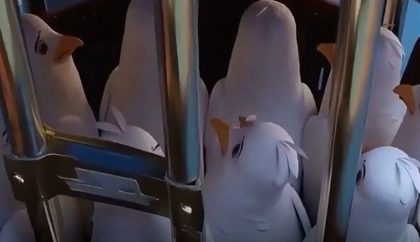 미국 주재 중국대사관이 9일(현지시간) 소셜미디어(SNS)에 올린 동영상. 사진 인스타그램 캡처