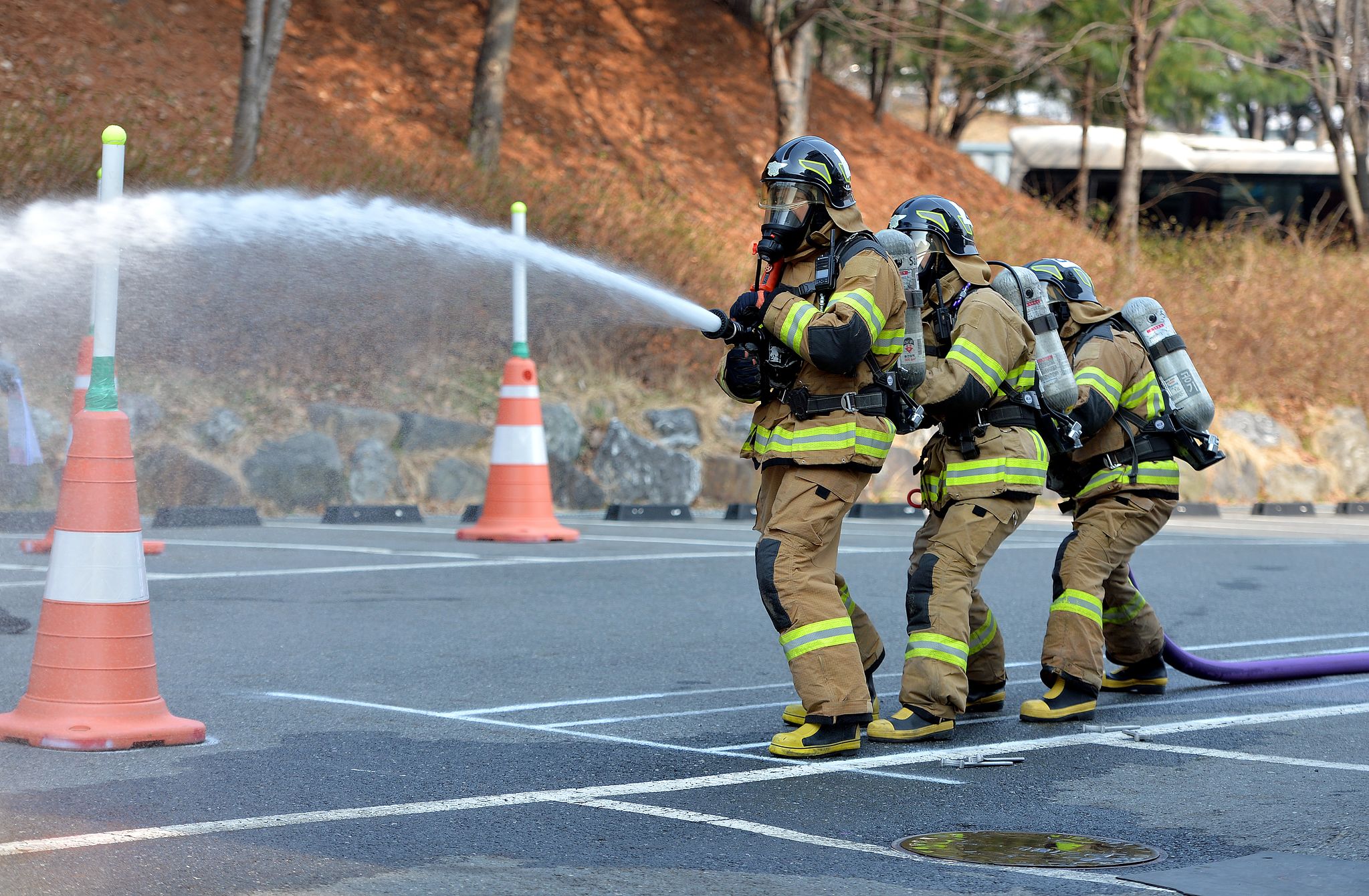 김성태 객원기자