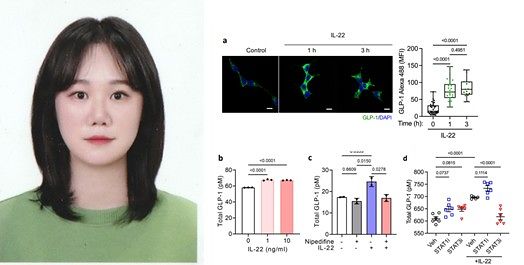 K-MEDI hub 전임상센터의 비만, 당뇨조절 논문이 네이처 저널 「네이처 커뮤니케이션(Nature Communications, IF=15.7)」에 게재됐다. 〈사진은 전임상센터 이보라 연구원(사진 왼쪽)과 점막 면역 사이토카인 IL-22에 의해 GLP-1의 발현이 증가함을 나타내는 연구내용〉