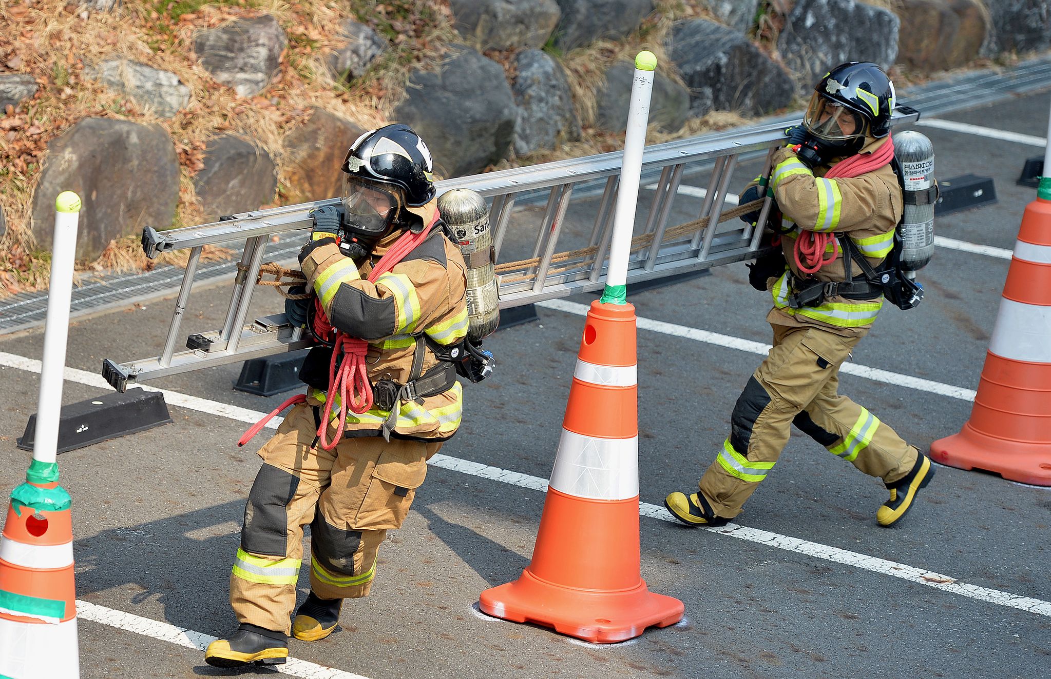 김성태 객원기자