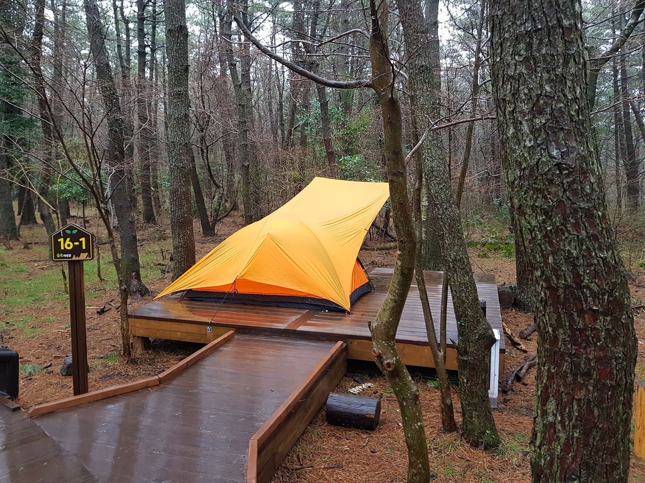 붉은오름자연휴양림 야영장. 사이트가 독립적이고, 데크가 커서 좋다. 