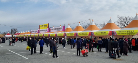 파주에서는 매년 1월 장단콩 축제가 열린다. 콩 판매를 비롯해 콩 타작, 꼬마 메주 만들기 등의 체험을 할 수 있다. 사진 파주시