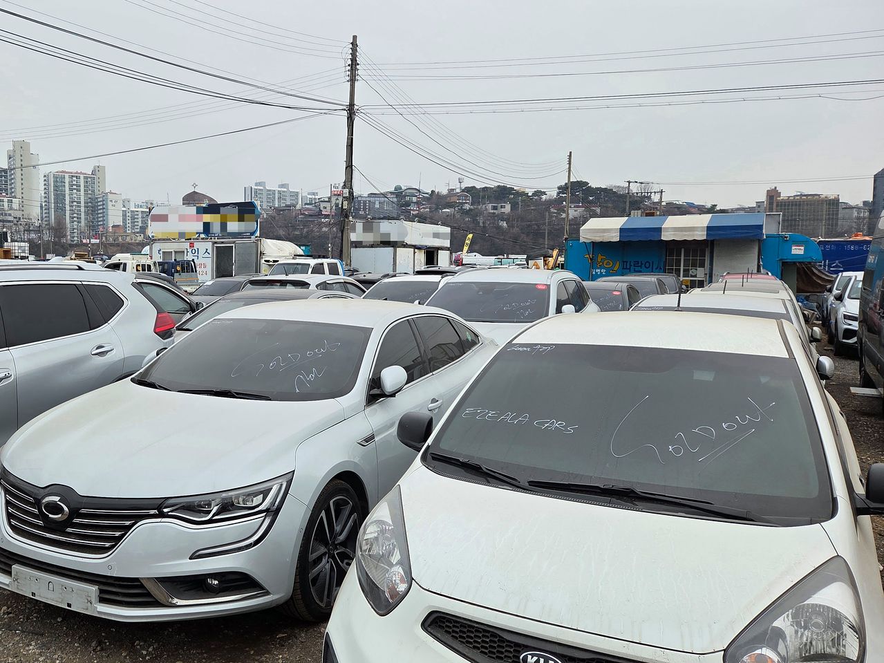지난 11일 인천 연수구 중고차 수출단지에 수출을 기다리는 차량이 늘어선 모습. 판매가 확정된 차량엔 'Sold(판매된)'라고 표시돼 있다. 오삼권 기자