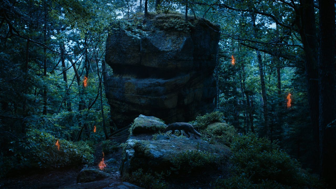 5월 미디어 아트 소장품전에 출품되는 로랑 그라소의 '아니마(ANIMA)'. 사진 서울시립 서서울미술관