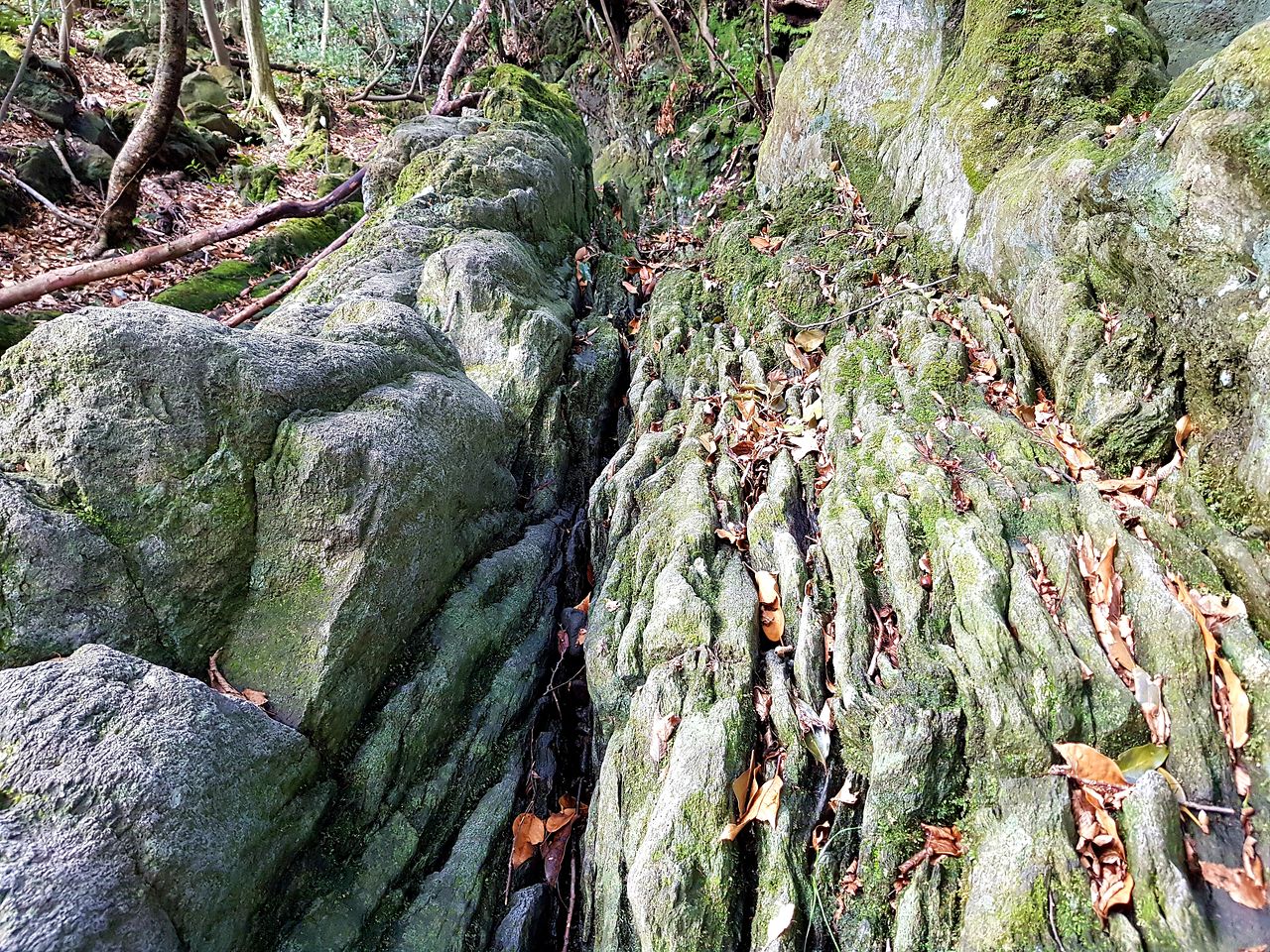 마흐니숲길에서 볼 수 있는 용암유류. 용암이 흐른 자국이 선명하다.