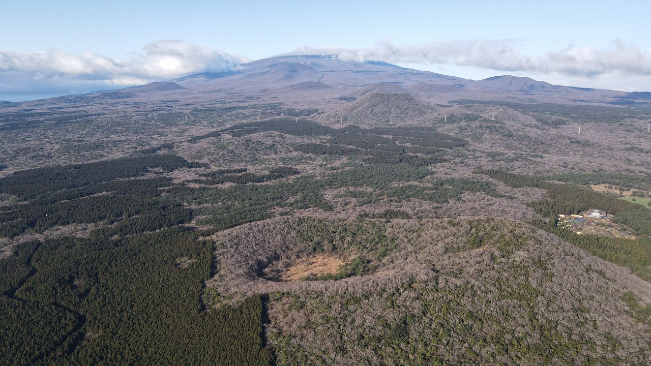 붉은오름자연휴양림에서 드론으로 촬영한 한라산 동쪽 오름 군락. 맨 아래 분화구가 보이는 곳이 붉은오름이다.