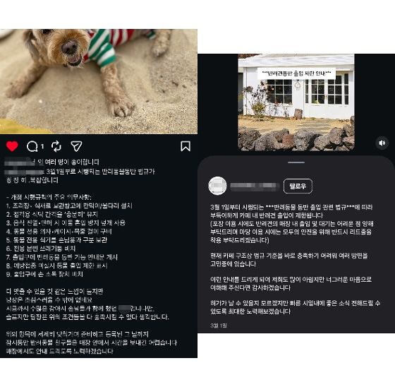 식품위생법 시행규칙 개정안이 시행된 이후 카페 점주들이 SNS에 게시한 공지. 인스타그램 캡처