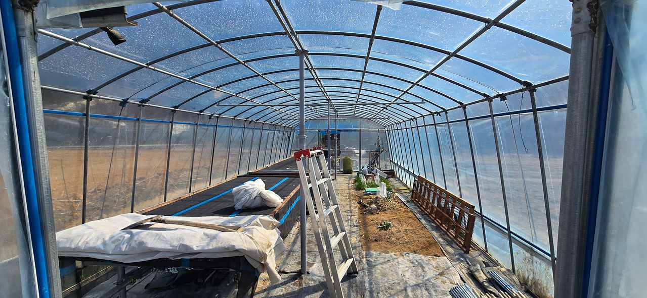 A씨가 직접 만든 비닐하우스 내부 모습. 손재주가 좋았다고 한다. 김준희 기자