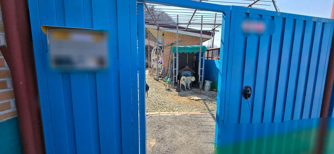 A씨(60대)가 90대 노모와 단둘이 살던 집. 열린 대문 사이로 개 한 마리가 으르렁거리고 있다. 김준희 기자