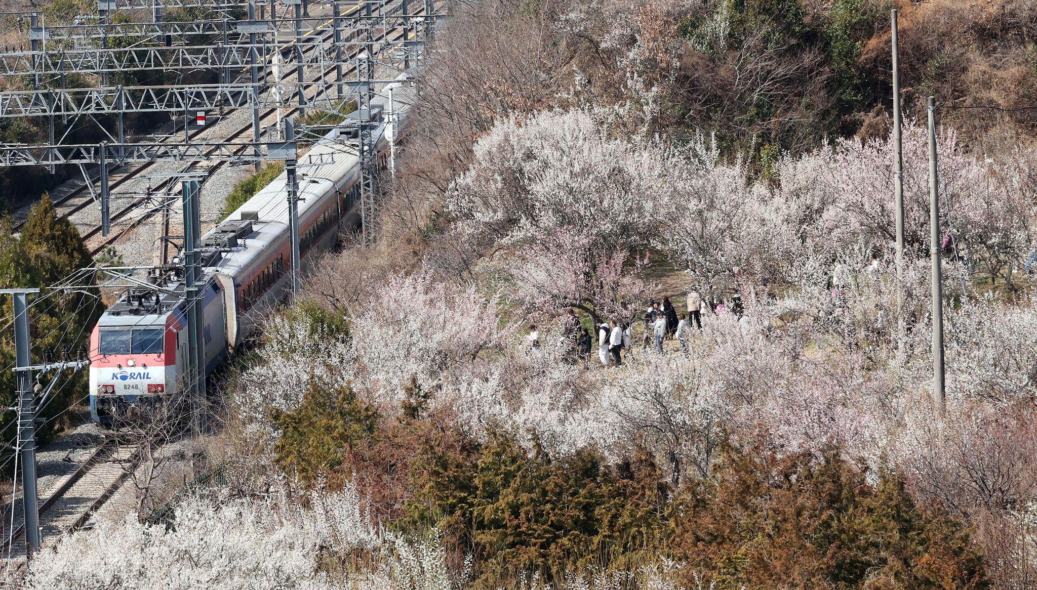 송봉근 객원기자
