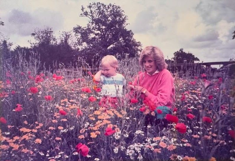 사진 인스타그램