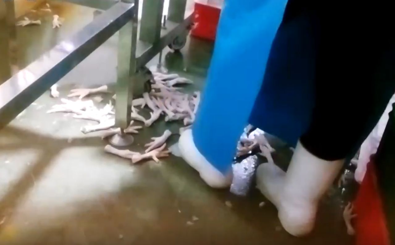  중국의 한 닭발 공장에서 닭발이 비위생적인 환경에서 가공되고 있는 모습. 사진 CCTV 캡처