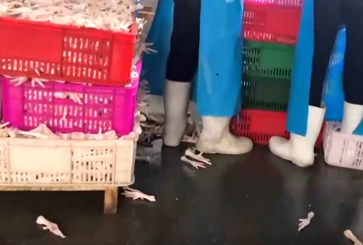 닭발이 바닥에 떨어져 있다. 사진 CCTV 캡처