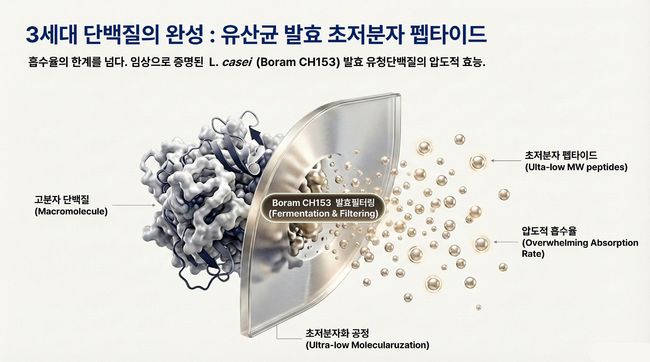 ▲보람바이오의 유산균발효 초저분자 펩타이드(ULP) / 사진제공=보람그룹