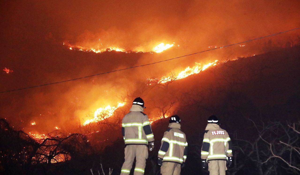 지난달 23일 경남 밀양 삼랑진읍 검세리 한 야산에서 발생한 산불이 강풍에 확산되고 있다. 뉴스1