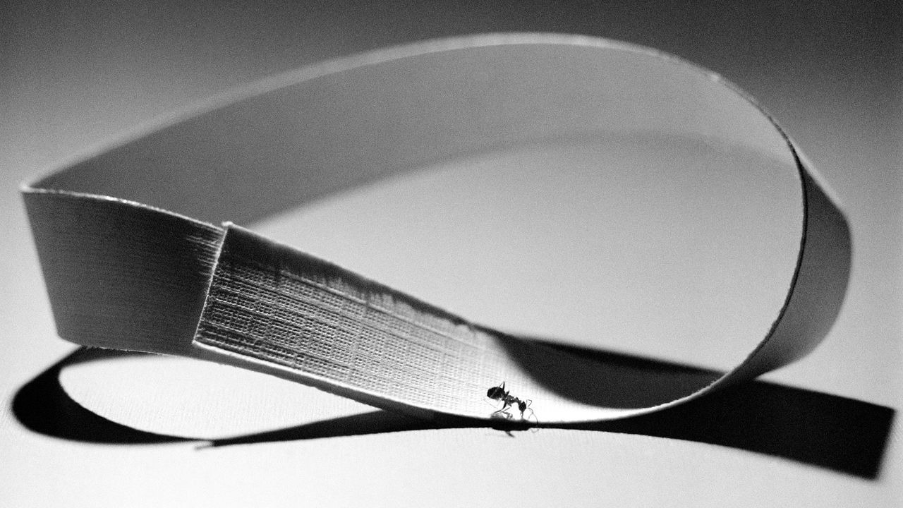 '줌-인 에디션 7'에 선보이는 이수지의 '무제(개미와 뫼비우스 띠)'. 사진 한국화랑협회