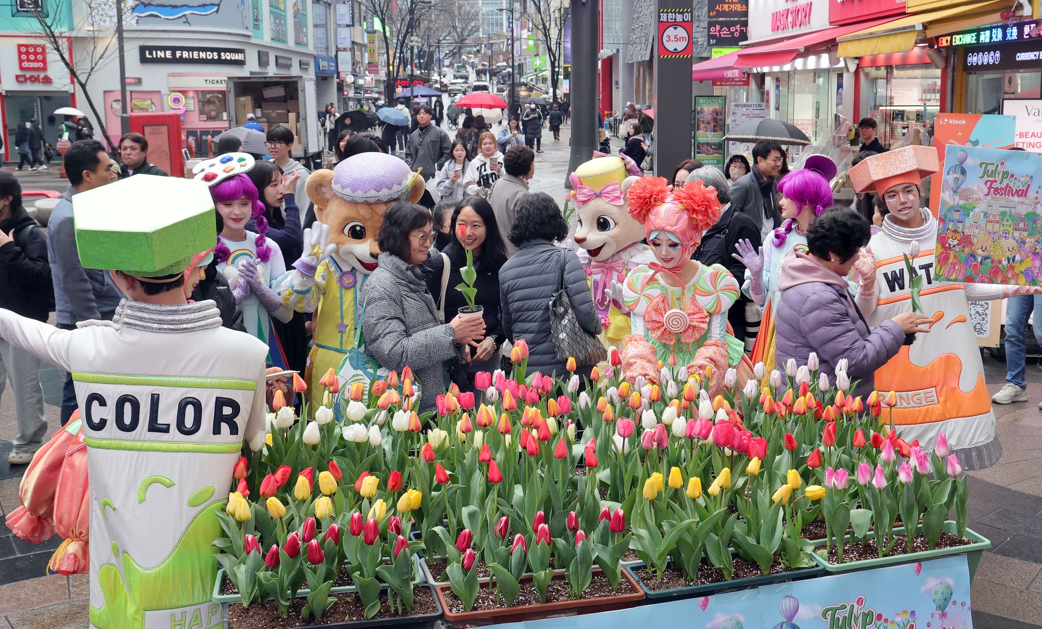 에버랜드 튤립축제 개막을 이틀 앞둔 18일 오후 서울 명동에서 공연 연기자들이 축제홍보를 위해 시민과 관광객에서 튤립을 나눠주고 있다.