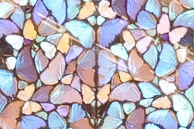 나비 날개를 붙인 ‘신의 무한한 권능과 영광을 묵상하며’(부분). ⓒDamien Hirst and Science Ltd.