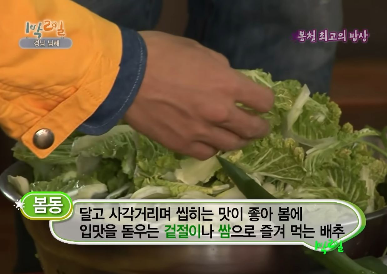 2011년 4월17일 방송된 '1박2일'의 봄동 무치는 장면. 사진 KBS 유튜브 캡처