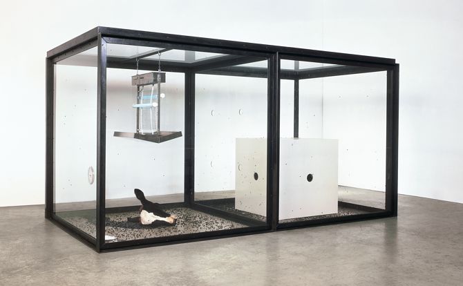 파리의 죽음을 전시한 문제작 ‘천 년’. ⓒDamien Hirst and Science Ltd.