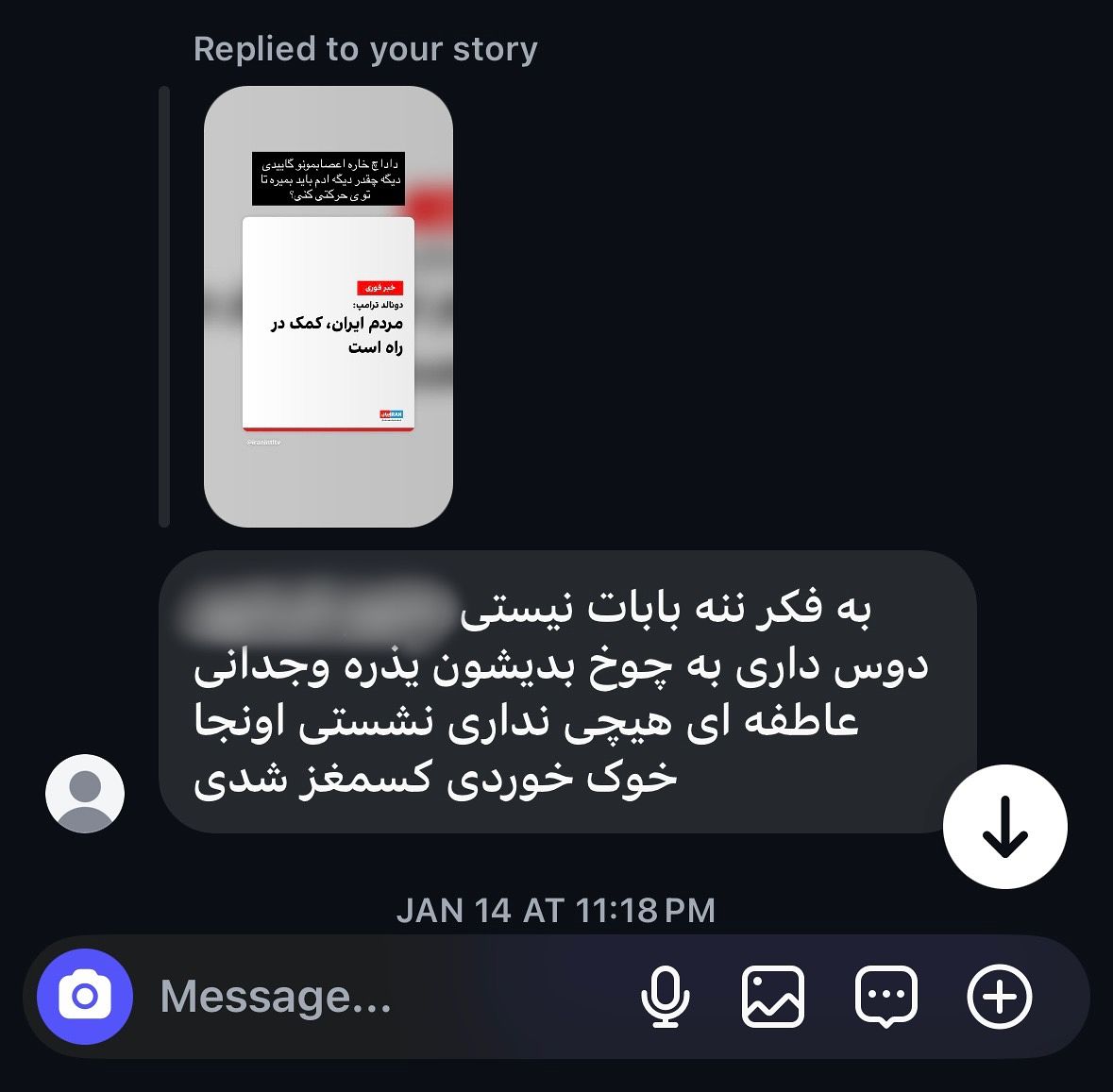 2018년 한국으로 유학 온 로사(27·가명)가 지난 1월 인스타그램으로 받은 DM 캡처. 이란 정부를 비판한 스토리에 상대가 보낸 답장에는 로사씨의 실명과 함께 “아버지가 걱정되지 않느냐”는 협박이 담겨있다. 독자 제공