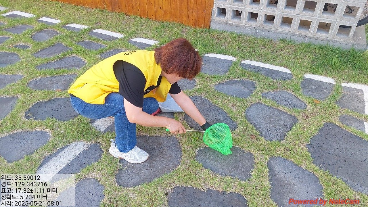 황방산 두꺼비 보호 활동 모습. 사진은 지난해 봄 촬영된 것이다. 사진 울산 중구 