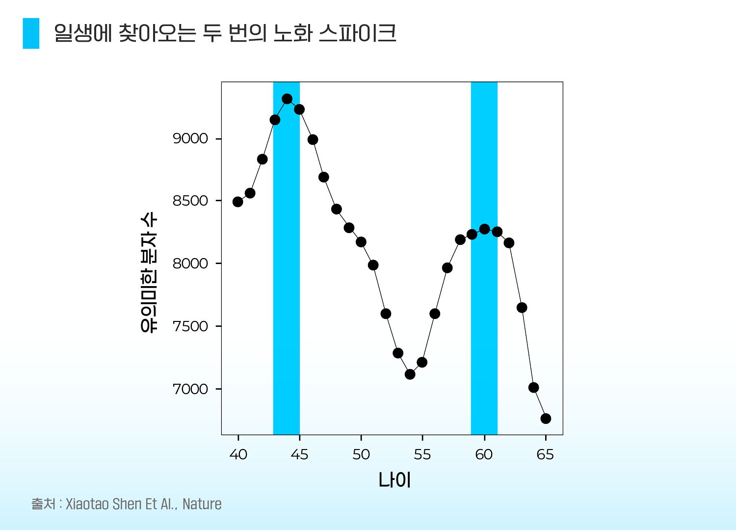 노화는 직선이 아니라 ‘파도’다: 44세와 60세 전후에 변화가 몰린다. 이민서 그래픽.