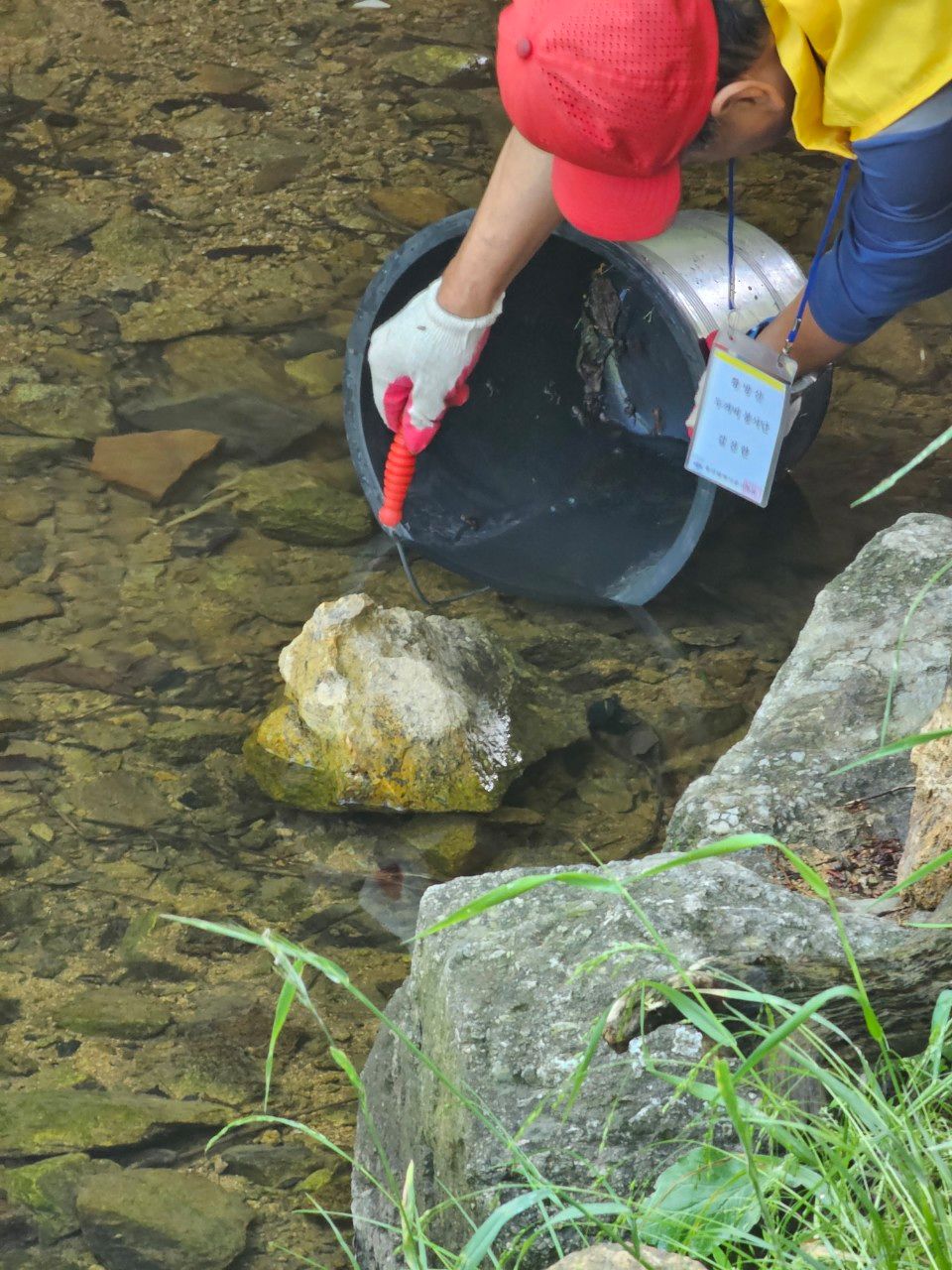 황방산 두꺼비 보호 활동 모습. 사진은 지난해 봄 촬영된 것이다. 사진 울산 중구 